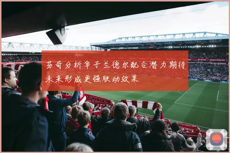 芬奇分析华子兰德尔配合潜力期待未来形成更强联动效果